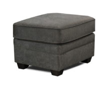 TCU Brett Fabric Ottoman.