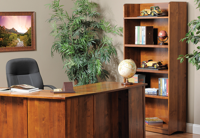 Urban Office Room Scene w_/ Display Bookshelf.