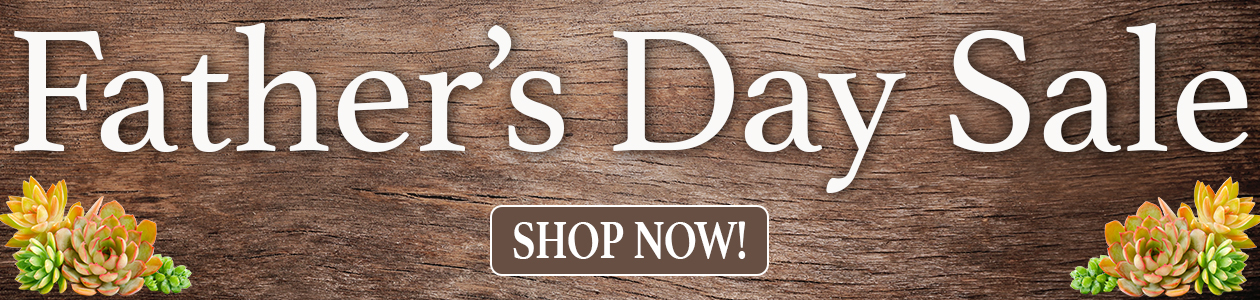 PA_Father's Day_Main Slider_desktop PA_Father's Day_Main Slider_desktop.